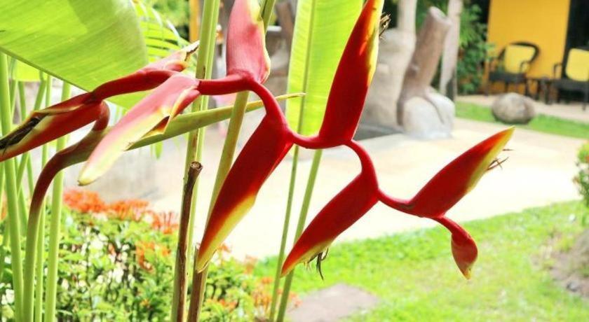 Kamala Tropical Garden Hotel Exterior foto